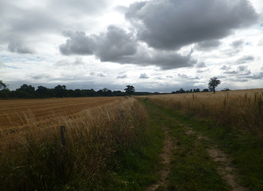 St Albans Car and Van hire, providing car hire in Brookmans Park St